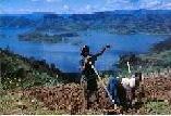 Rwandan farmers