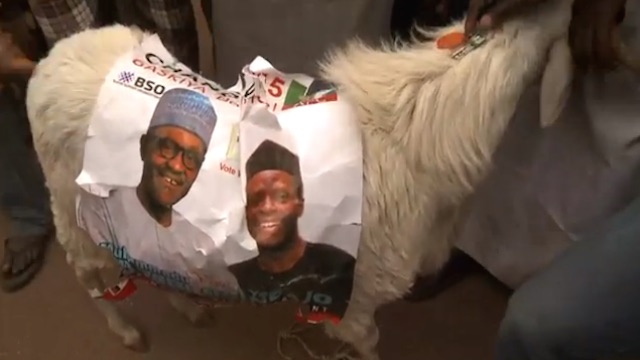 Nigerians Celebrate the Victory of General Buhari 
