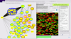 AroniSmartIntelligence Stock Market Indices Time Series  Support Vector Machine, Neural Network and NLP Sentiment Analysis